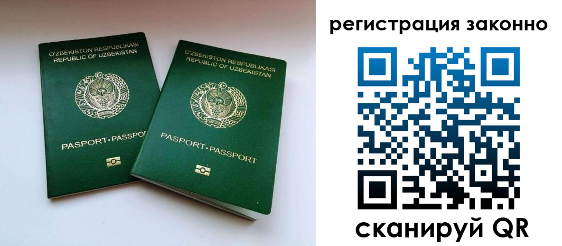прописка гарантия в Владимирской области